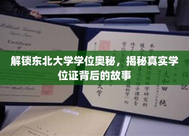 探寻东北大学学位证的神秘面纱，一场揭秘与传承的对话