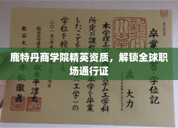 鹿特丹商学院精英培育，解锁国际职场自由行护照