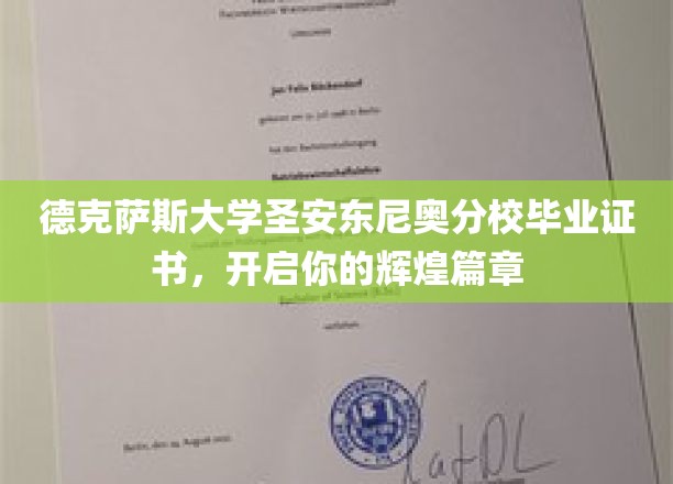 德克萨斯大学圣安东尼奥分校证书，成就非凡人生新篇章