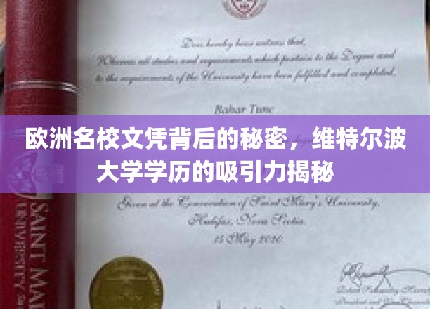 欧洲名校文凭背后的秘密，维特尔波大学学历的吸引力揭秘