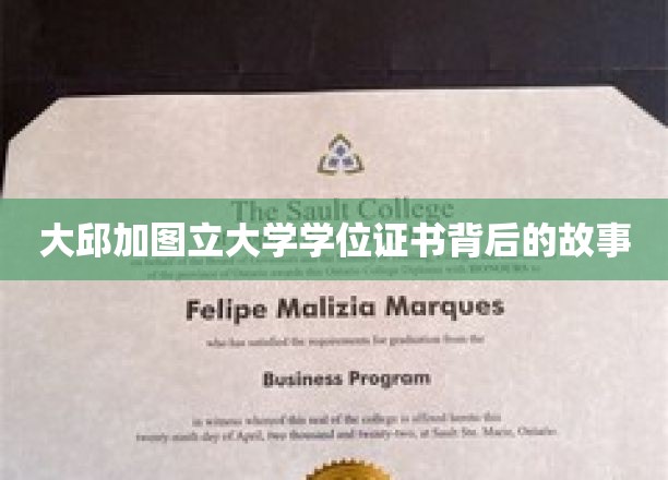大邱加图立大学学位证书背后的故事