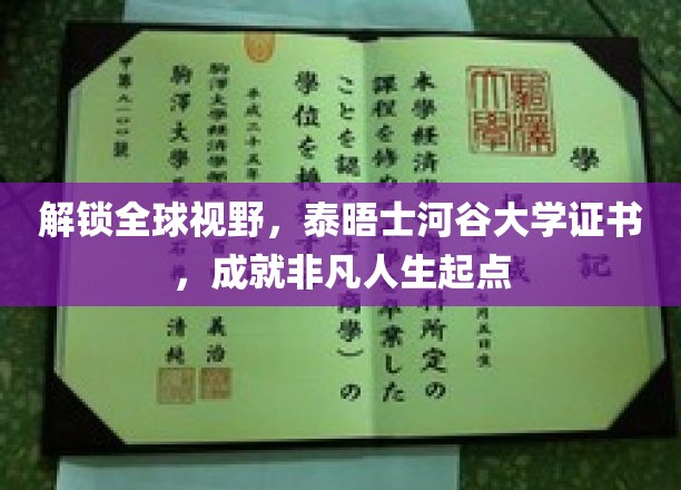泰晤士河谷大学证书，开启全球视野，成就非凡人生起点