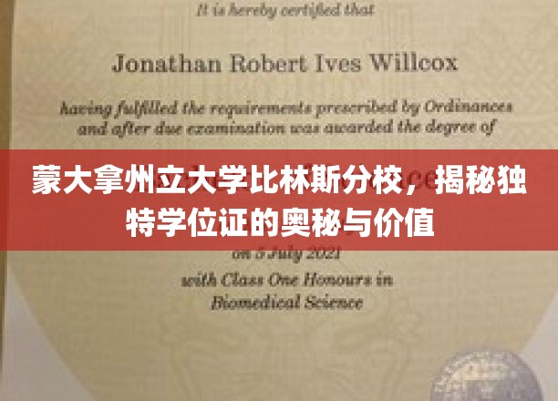 蒙大拿州立大学比林斯分校，探索别具一格学位证的神秘魅力