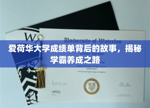 爱荷华大学成绩单背后的故事，揭秘学霸养成之路