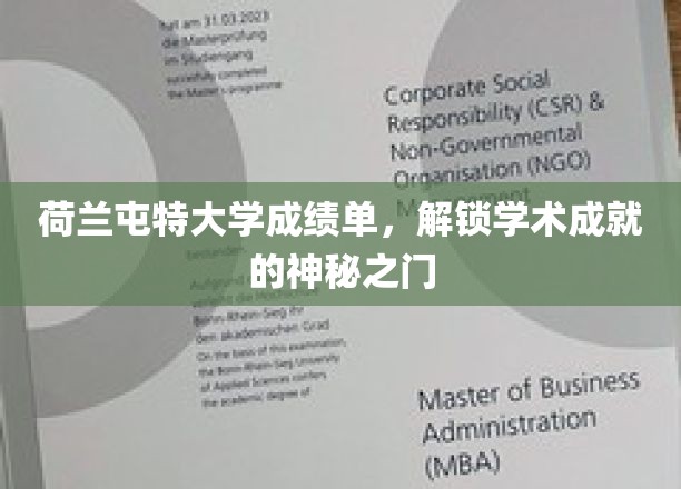 荷兰屯特大学成绩单，解锁学术成就的神秘之门