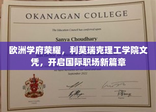 跨越欧陆的学术荣耀，利莫瑞克理工学院文凭，点亮全球职场未来