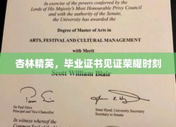 杏林骄子荣耀归校，毕业证书映照辉煌时刻