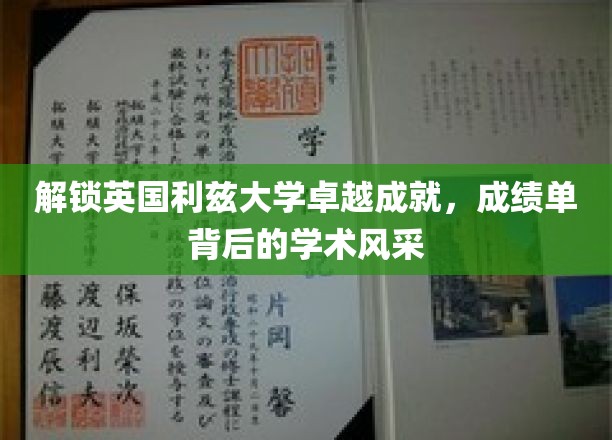 揭秘利兹大学卓越之光，揭秘学术成绩背后的璀璨风采