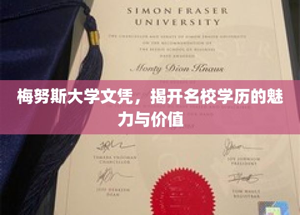 名校光环下的梅努斯大学，探究文凭背后的价值与魅力