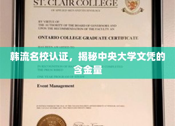 韩国名校光环下的学历价值，中央大学文凭的非凡魅力