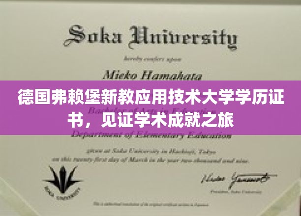 德国弗赖堡新教应用技术大学学历证书，见证学术成就之旅