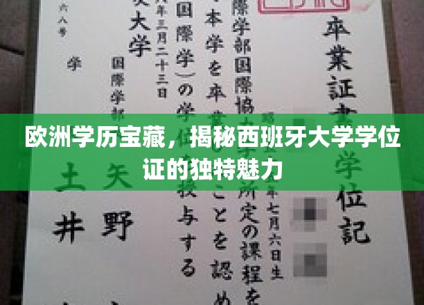 欧洲学历宝藏，揭秘西班牙大学学位证的独特魅力