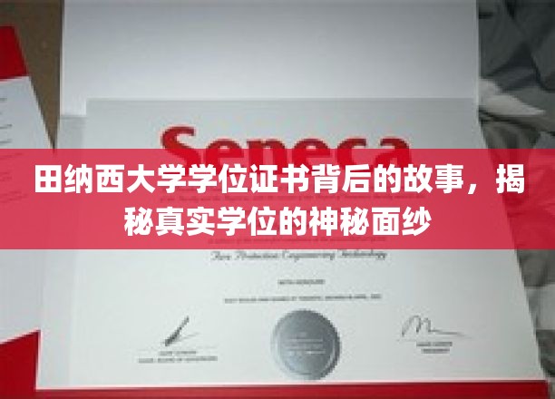 探寻田纳西大学学位证书的传奇面纱，揭开学术荣耀背后的真实故事