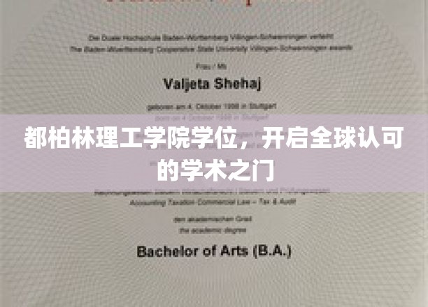 国际通行证，都柏林理工学院学位助你打开世界学术殿堂