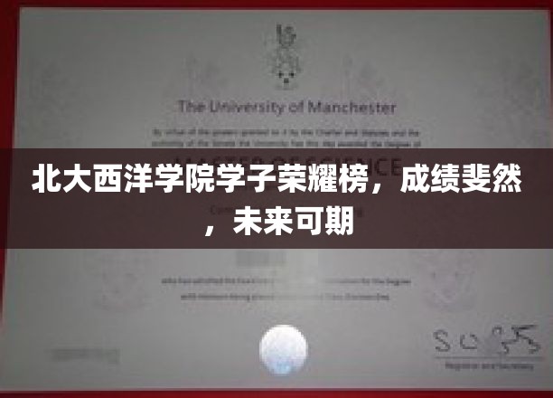 北大西洋学院精英风采，辉煌成就映照璀璨未来