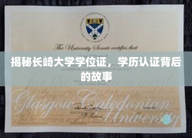 长崎大学学位证背后的传奇揭秘，学历认证的奥秘全解析