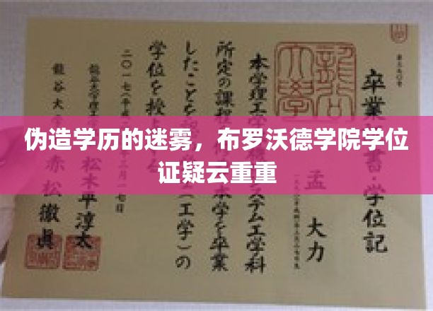 伪造学历的迷雾，布罗沃德学院学位证疑云重重