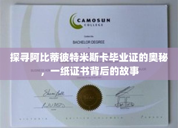 解开阿比蒂彼特米斯卡毕业证书之谜，一纸文凭背后的传奇故事