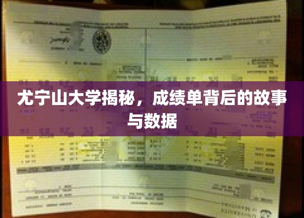 揭开尤宁山大学成绩单的秘密，背后的故事与数据大揭秘