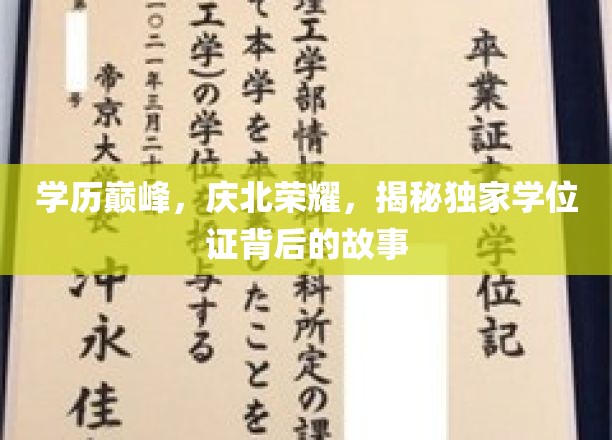 庆北骄子，学位证背后的辉煌历程与传奇荣耀