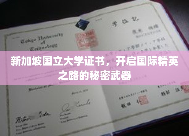 新加坡国立大学证书，开启国际精英之路的秘密武器