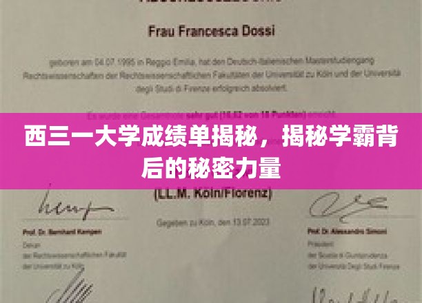 西三一学霸养成记，揭秘高分背后的神秘动力