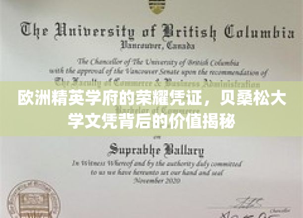 欧洲精英学府的荣耀象征，贝桑松大学文凭的价值内涵解析