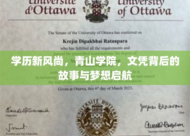 文凭新纪元，青山学院揭秘，学历背后的梦想之旅