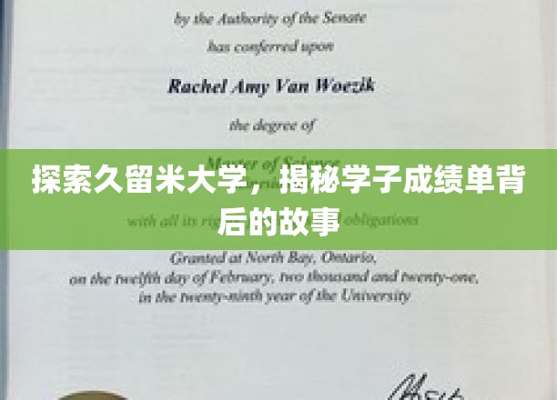解码久留米大学，学子成绩单背后的成长轨迹