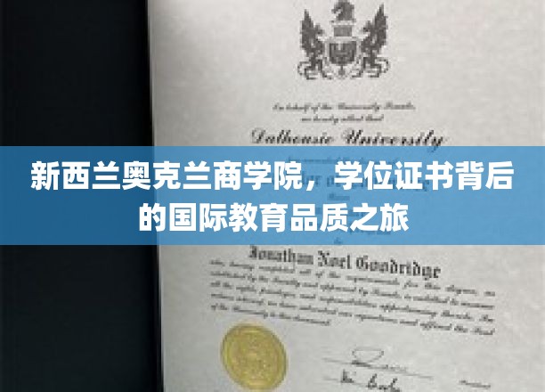 探寻新西兰奥克兰商学院，国际教育品质的璀璨学位之旅