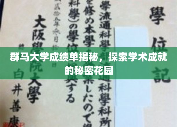 群马大学成绩单背后的学术奥秘，揭秘精英学子的成长轨迹