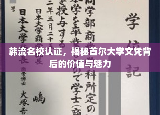 韩流名校认证，揭秘首尔大学文凭背后的价值与魅力