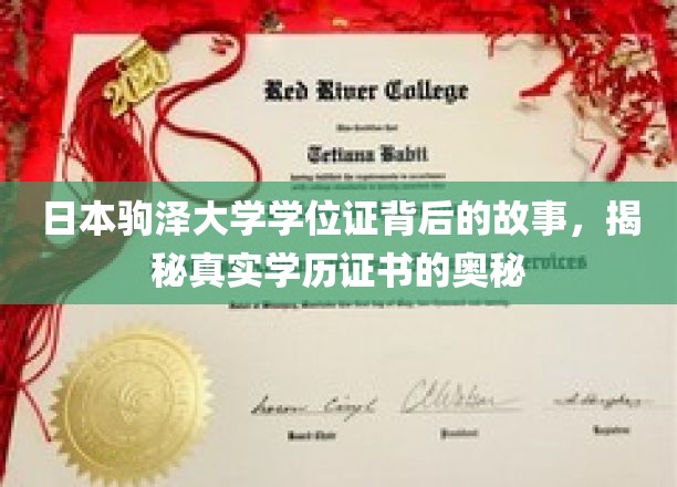 驹泽大学学位证揭秘，探寻学历认证背后的真实世界