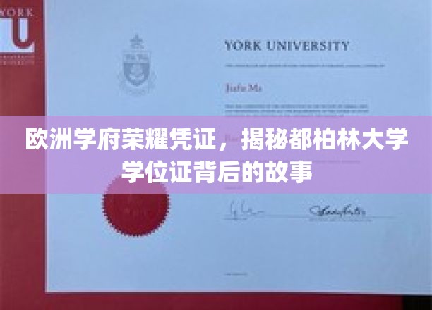 欧洲学府荣耀凭证，揭秘都柏林大学学位证背后的故事