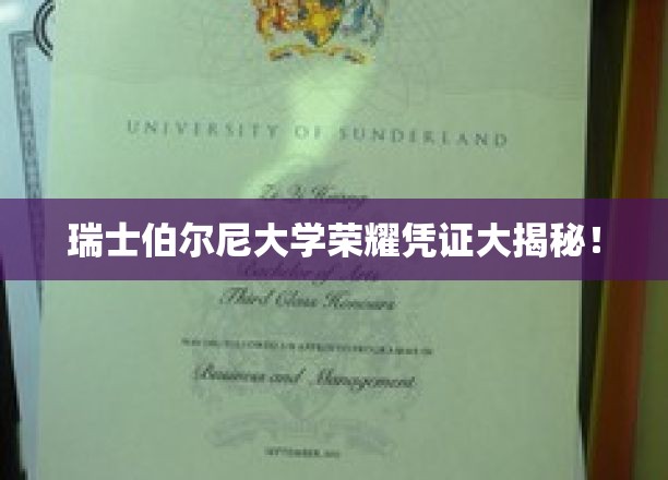 伯尔尼大学精英证书背后的传奇故事揭晓