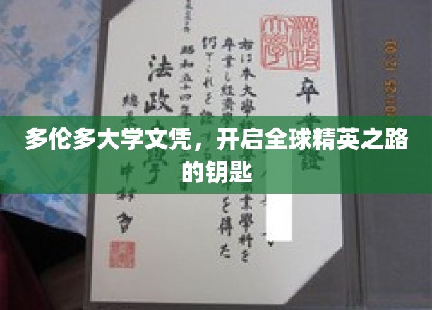 多伦多大学文凭，解锁全球精英梦想的金钥匙