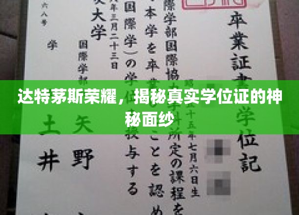 达特茅斯传奇，一探究竟，学位证的神秘面纱如何揭开