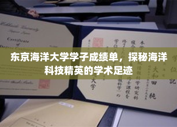 海洋精英养成记，东京海洋大学学子闪耀学术舞台