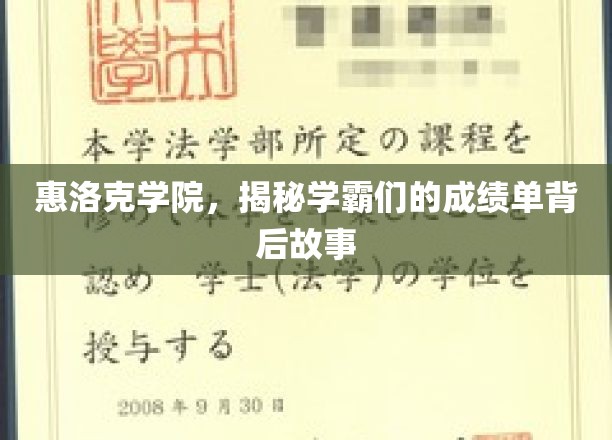 解码惠洛克学霸的秘密，揭开成绩单背后的传奇故事