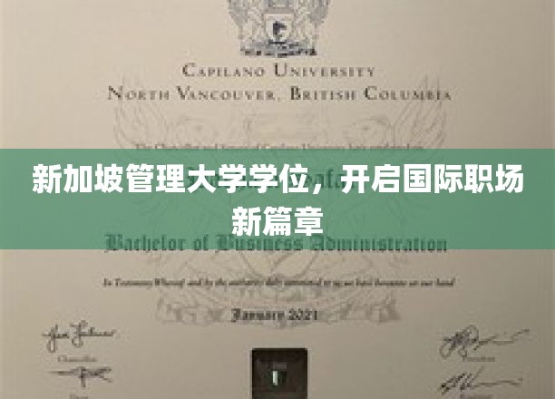 跨国精英之路，新加坡管理大学学位助你开启全球职场新纪元