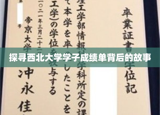 揭秘西北大学学霸背后的秘密，成绩单背后的奋斗历程