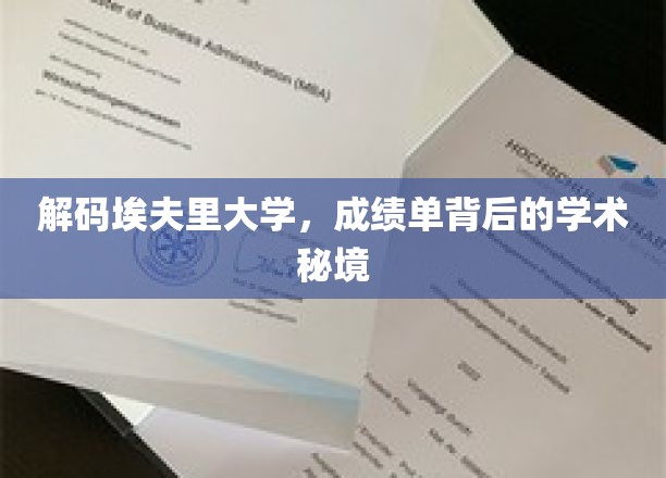 探索埃夫里大学，揭开成绩单背后的学术奥秘