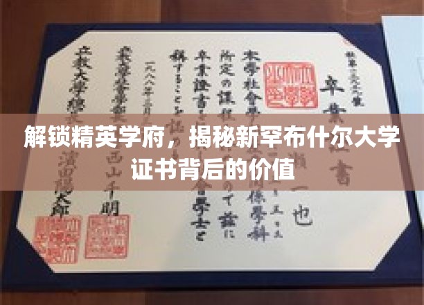 开启精英学府，一探新罕布什尔大学证书的深层价值
