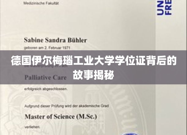 德国伊尔梅瑙工业大学学位证背后的故事揭秘