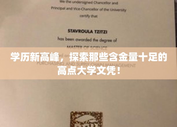 解码未来职场精英，揭秘学历新高峰的顶尖学府宝藏！