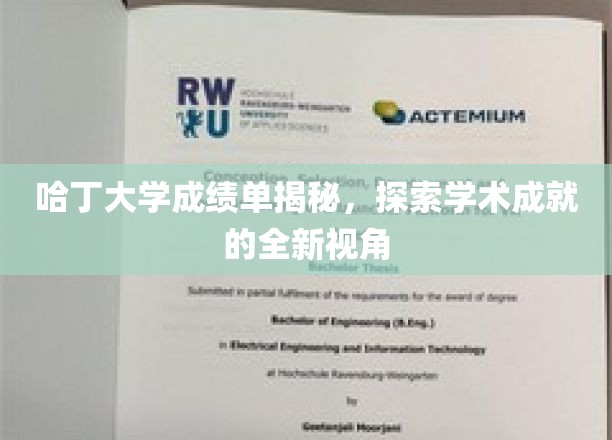 哈丁大学成绩单揭秘，探索学术成就的全新视角