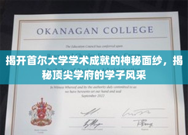 首尔大学卓越之光，揭秘顶尖学子的学术传奇