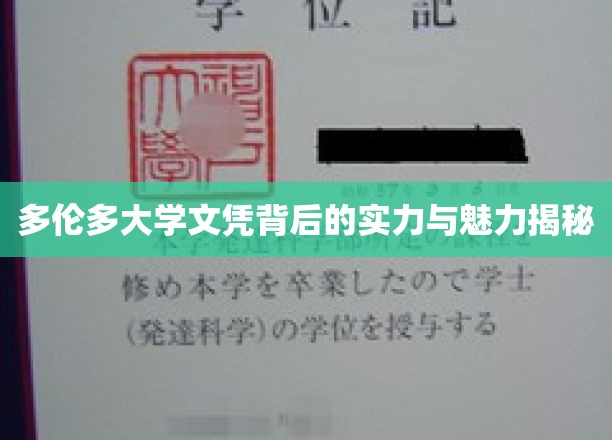解码多伦多大学文凭，实力与魅力的双重奥秘