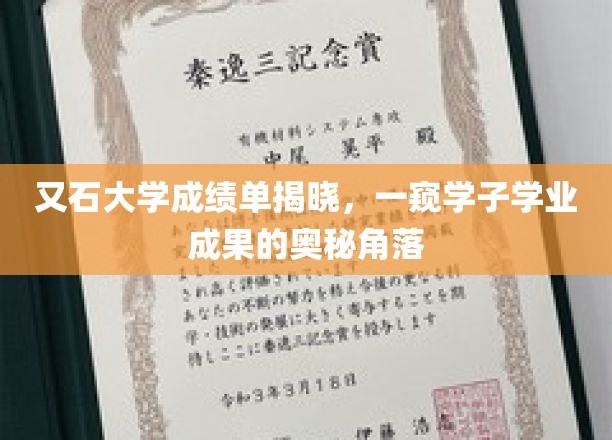 又石大学成绩单揭晓，一窥学子学业成果的奥秘角落