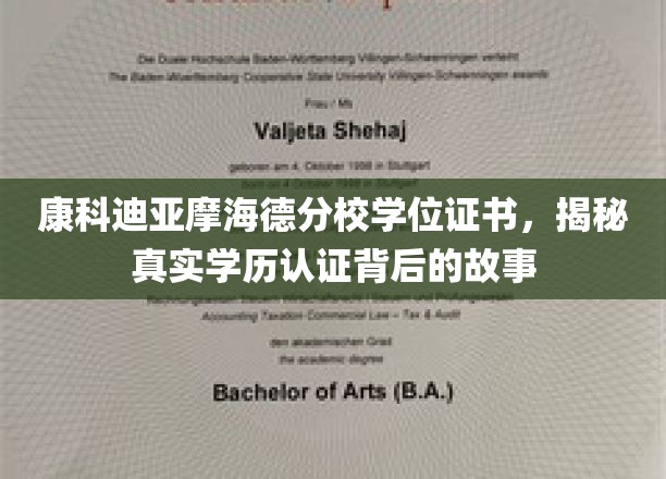 揭开康科迪亚摩海德分校学位证书背后的神秘面纱